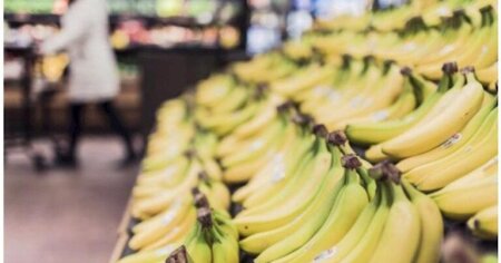 14 santimetrdən kiçik bananların ölkəyə girişi qadağan edildi