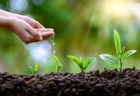 Torpaq çərşənbəsidir