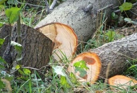 BAKI EKOLOJİ FƏLAKƏTLƏ ÜZ-ÜZƏ-1 həftədə 133 min manatlıq cərimə