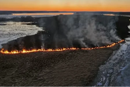 Finlandiyada kimsəsiz ada tamamilə yanıb - VİDEO