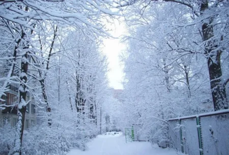 Bu ərazilərə qar YAĞIR