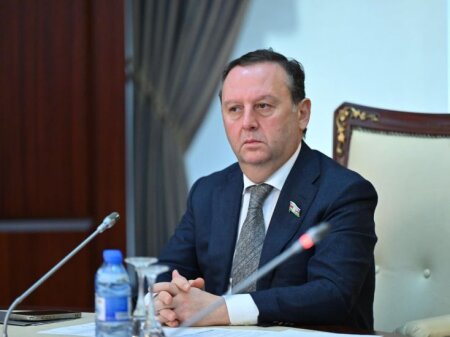 Deputat: “Özlərini “demokratik dövlət” hesab edən Belçika və Niderland müstəmləkə keçmişlərini xatırlasalar, daha yaxşı olar”