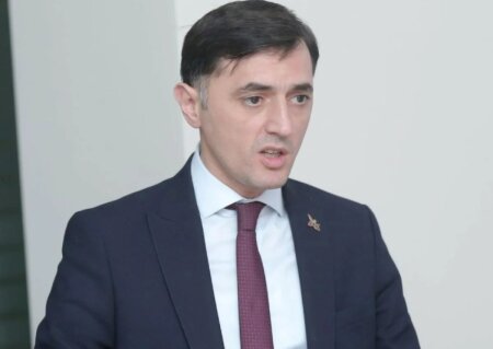 "Əslində məmurlar vətəndaşları çoxuşaqlılığa səsləməlidi, nəinki belə..."