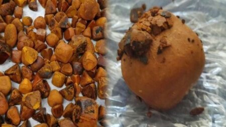 Azərbaycan kəndlərində doludur: Qramı 100 manata satılır