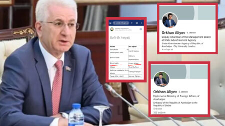 Deputat Bəxtiyar Əliyevin oğlunun "iki fərqli həyatı": Eyni illərdə həm Bakıda sədr müavini, həm də xaricdə diplomat?