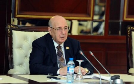 Psixiatriya sahəsində yeni diaqnostika və müalicə metodları tətbiq ediləcək - Komitə sədri açıqladı