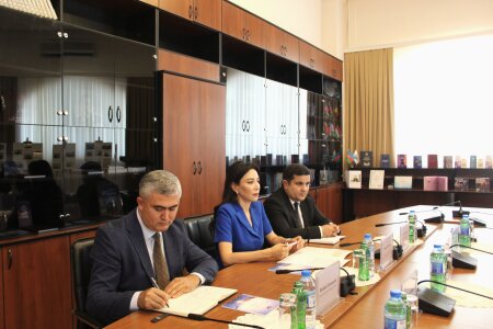 Ombudsman İƏT-in Müstəqil Daimi İnsan Hüquqları Komissiyasının icraçı direktoru ilə görüşüb