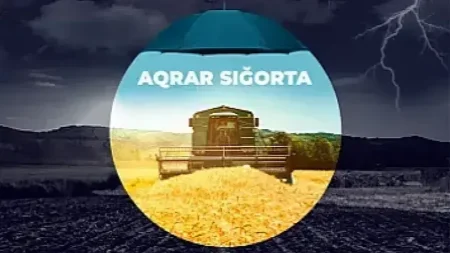 "Aqrar Sığorta"nın hər 100 manat yığımına düşən ödənişlər - Aylar üzrə cədvəl