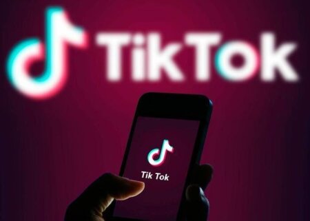Ötən il Azərbaycanda 3,6 mln. video “TikTok”dan silinib