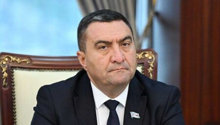 Deputat: “Təəssüf ki, Avropa ölkələrində isti havalara hazırlıq yetərli olmayıb”
