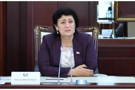 Deputatdan qanun layihəsinə etiraz: "Yenidən baxılmalıdır"