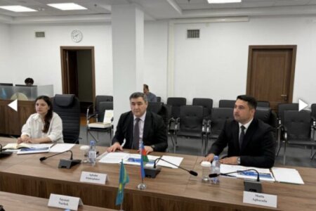 Səfir özəl şirkəti hansı statusla rəsmi görüşə aparıb?