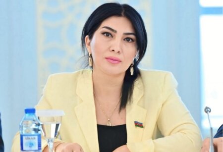 Azərbaycanda bəzi istifadəçilərinin həbsindən sonra “TikTok” bağlana bilərmi? – Deputatdan AÇIQLAMA