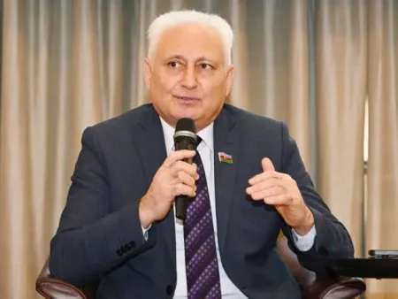 Deputat Türkiyədəki anti-Azərbaycançı qruplarla bağlı çağırış etdi: "Bizə atılan daş..."